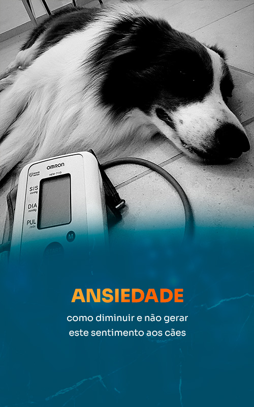 ansiedade