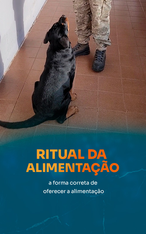 ritual