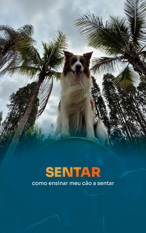 sentar